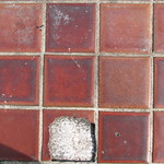 daytrippin around richmond and such 016