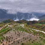 Longji Rice Terraces - China