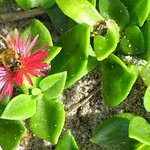 Day 103 - Everything About You Takes My Breathe Away