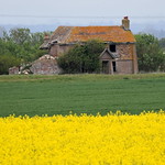 The derelict farmhouse.