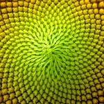 TrackHead Studios - Future Lives