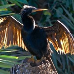 No spin drying, please!