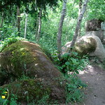 Eden Project, Cornwall
