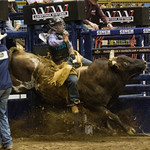 Rodeo All Star 2014 Bull Riding
