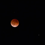 Bloodmoon