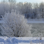 Down by the river on a frosty morning