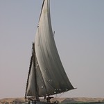 Felucca
