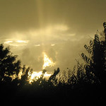 Sun Breaking Through