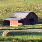 Blue Ridge Parkway Barn
