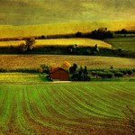 ~ rural oasis ~ l&auml;ndliche Oase ;-))