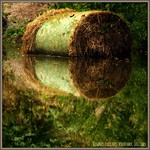 ROLLING DOWN THE RIVER!