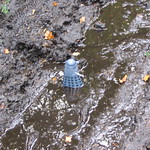 Dalek invasion of Earth, October 18th 2008