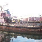 Patrice McAllister again