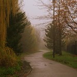 everyday is a winding road