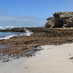 South Africa - De Hoop Nature Reserve