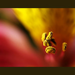 ~it's the little things that matter