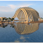 The Leviathan Skeleton_2015-08-03_002