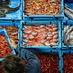 Port de pescadors de Barcelona