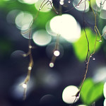 each day the world is born anew for him who takes it rightly...