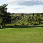 Uncle John's Orchard