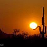 HoldingSun_071708-12