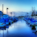 king harbor 1166-71 seal ghost