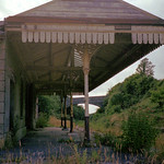 Whitstone & Bridgerule station (8), 1975