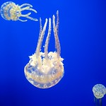 Mondays turn me upside down