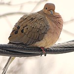 A quiet winter's morning