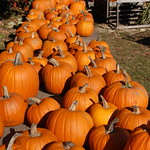 Farm stand pumpkin display