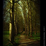 *the long and winding road*