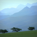 Three Trees on a Hill