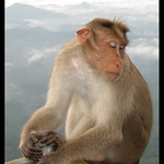 don't disturb me. please....