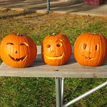 Carved pumpkins
