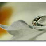 Wish you all a Happy Easter !