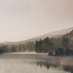 not yet awake, I&acute;m raised to make