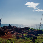 Out Fishing in the Harsh Sun