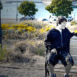 Elizabeth Archer Klein Family