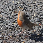 April 2015 April 2015