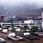 Grytviken.