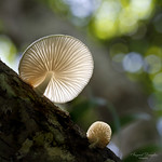 Basking in Sunshine.....