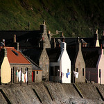 Crovie