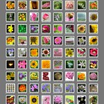 April 1st, 2009 Explore 008