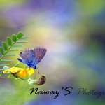 To be able to feel free is long gone!!!