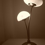 Mushroom Lamp