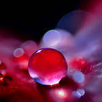 seeing water in a different ways