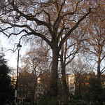Soho Square