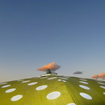 Polka Dots and Moonbeams