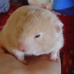 "I'm trying to sleep mom!"