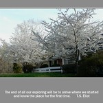 My Family Home, Maryland U.S.A